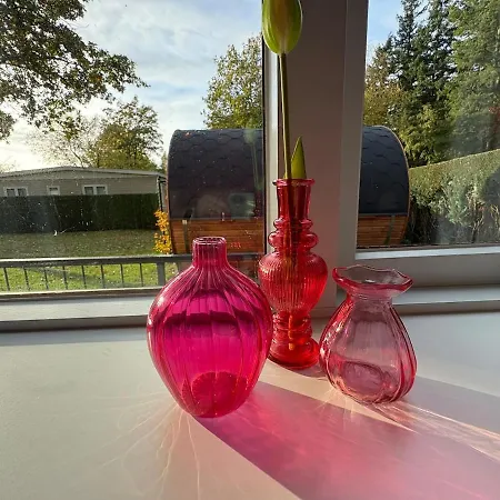 Sfeervolle Met Sauna Aan De Rand Het Bos *