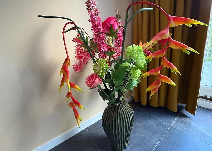 Sfeervolle Met Sauna Aan De Rand Het Bos *