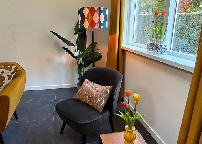 Sfeervolle Met Sauna Aan De Rand Het Bos