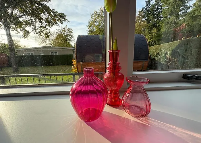 Sfeervolle Met Sauna Aan De Rand Het Bos *